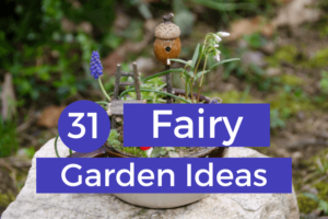 fairy-garden-ideas