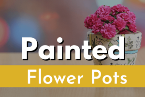 painted-flower-pots (1)