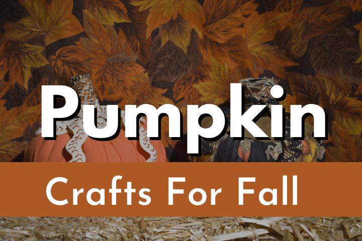 pumpkin-crafts (1)
